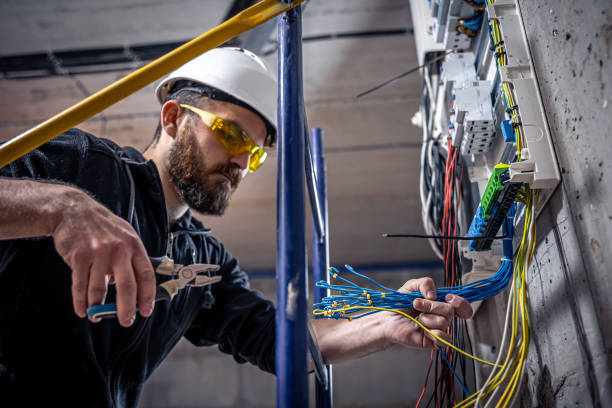 Best Licensed Electrician  in Homosassa Springs, FL