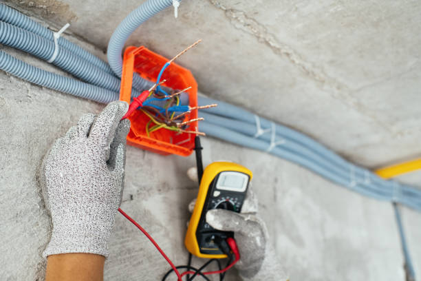 Best Electrical Contractors for Businesses  in Homosassa Springs, FL